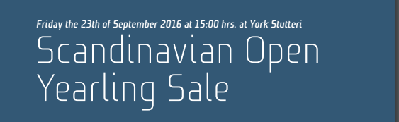 Scandinavian Open Yearling Sale, York Stutteri, fredag den 23. sep. 2016