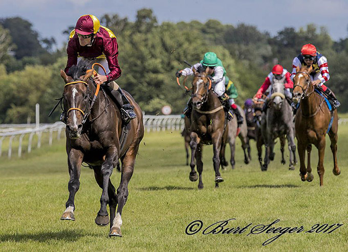 Alberone (IRE), født 2014, ses her i sit livs anden start, redet af jockey Jacob Johansen på Klampenborg Galopbane, hvor hesten vandt med mange længder i et maidenløb. Foto: Burt Seeger