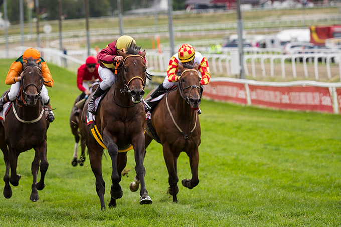 Brownie (GB) var suveræn på Øvrevoll Galoppbane med tre sejre i tre starter - Øvrevoll Mile Cup, Polar Cup (Gr.3) og Marit Sveaas Minneløp (Gr.3). 
	Billedet er fra Marit Sveaas Minneløp.  Jockey Oliver Wilson. Foto: Eirik Stenhaug. Copyright: Norsk Rikstoto.