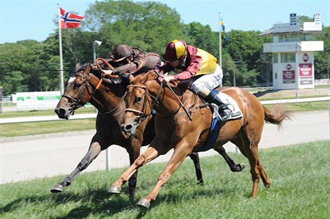 Easter Surprise (GB) sejrer i King Charles 2-årsløb på Jydsk Væddeløbsbane 17. juni 2017 efter nærkamp med Queen Estoril (IRE). Foto Ole Hindby