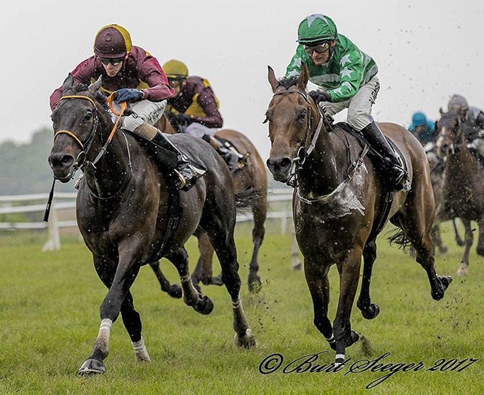 Falconet med jockey Jacob Johansen i nærkamp med
	Karmastrikesback i Pokalløb (L) søndag den 4. juni 2017. Falconet vinder løbet for tredje gang, en historisk bedrift. Foto Burt Seeger 
