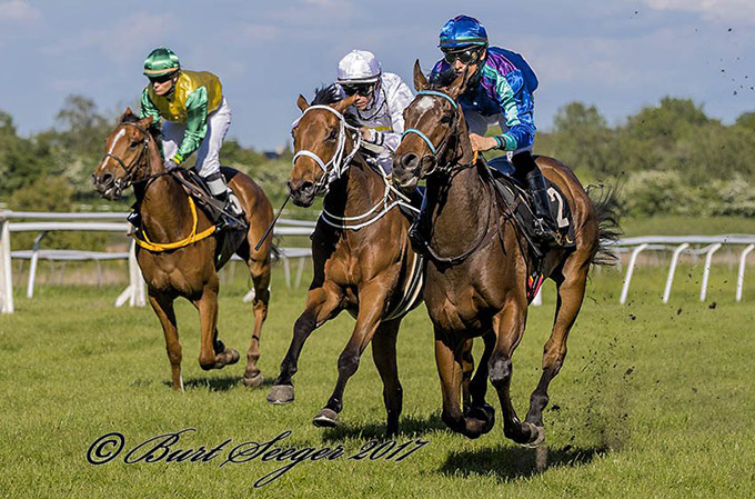 Ejer Kentaur og Nva Racing tager imod French Warrior efter hestens anden sejr i tre starter. Foto Burt Seeger