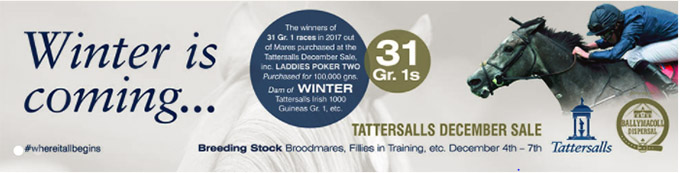 HOKU (IRE) fremstilles 6. dec. på Tattersalls December Mare Sale 2017