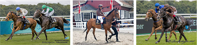 Desert Eagle (DEN), Queen Imola (IRE) og Ventuari (USA) søger nye ejere