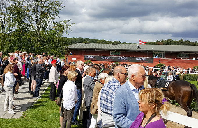 Publikum ved paddocken, Derby dag 2017, Klampenborg Galopbane. Foto Styles-OK