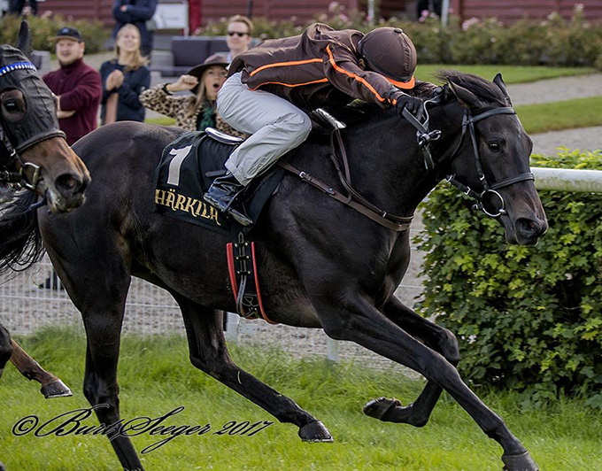 Monza (IRE) med Elione Chaves på vej mod sejr i East West 2-Years Race på Klampenborg lørdag den 
16. sep. 2017. Foto Burt Seeger