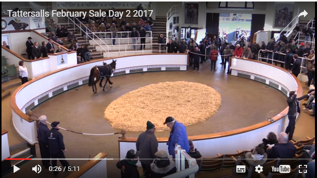 videoklip fra Tattersalls February Sale