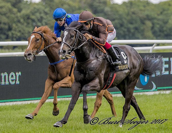 Ventuari (IRE) med jockey Elione Chaves på vej mod maidensejren lørdag den 8. juli på Klampenborg Galopbane. Foto Burt Seeger