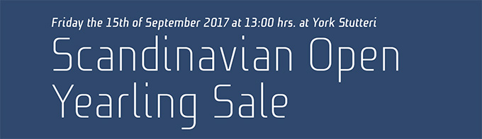 Scandinavian Open Yearling Sale, York Stutteri, fredag den 15. sep. 2017 Scandinavian Open Yearling Sale, York Stutteri, fredag den 15. sep. 2017