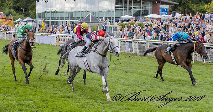 Efesos med jockey Manuel Martinez på vej mod
	sejr i Scandinavin Open Championship (Gr. 3). Foto Burt Seeger