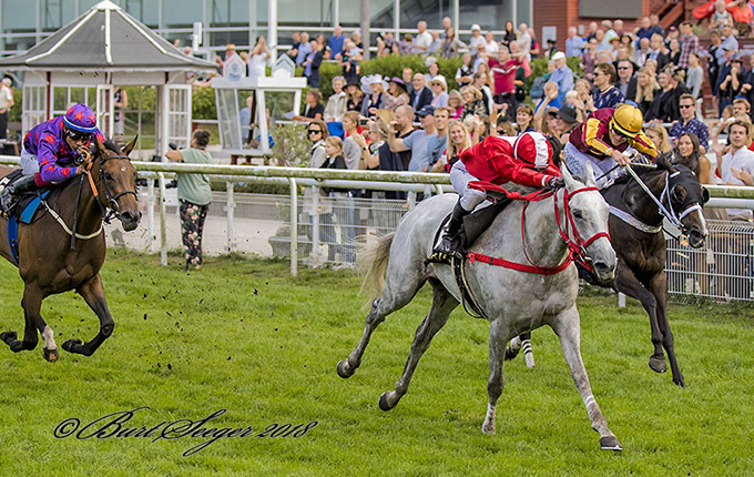 Iron Lady, opdrættet af Einar Nagell-Erichsen, ejet af 
I/S Horse Team, blev vinder af Dansk Oaks 2018, redet af jockey Manuel Martinez. Foto Burt Seeger