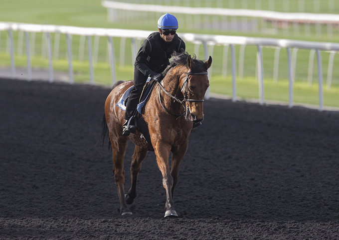 Jubilance rides af Elione Chaves. 14 heste deltager i løbet. Foto Erika Rasmussen