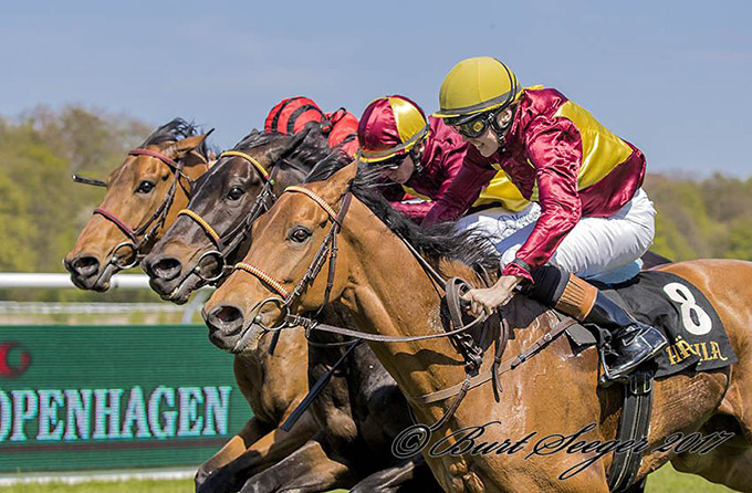 Jubilance (IRE), nærmest kameraet, ses her som vinder af Dansk Jockey Club (L) 2017. Foto Burt Seeger