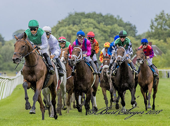 Lea (SWE) med hvid jockeydragt og Elione Chaves på ryggen ses her som anden på vej ind i 
	Tribunesvinget blandt tolv deltagere i Dansk Derby 2018. foto Burt Seeger
