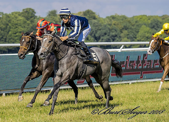 2-årige Miss Spectre (SWE), ejet af familien 
	Haugaard, aflægger sin maidentitel under Elione Chaves, lørdag den 28. juli 2018. Foto Burt Seeger