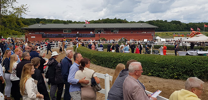 Publikum er på plads foran paddocken,
	mens hesteejere er ved at indfinde sig i paddocken op til Dansk Derby 2018. Foto: Styles-Ok