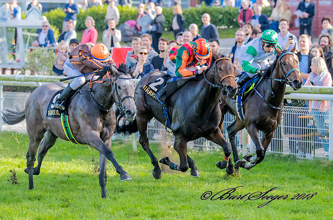 Silverstone, nærmest kameraet, sejrer med jockey Manuel Martinez i Vinterfavoritternes Ærespræmie 2018. Foto Burt Seeger