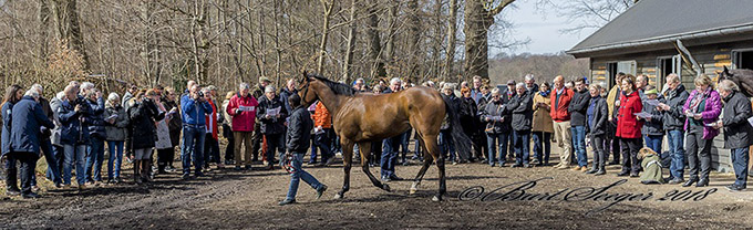 Staldrundgang 2018 hos Bent Olsen. Foto Burt Seeger