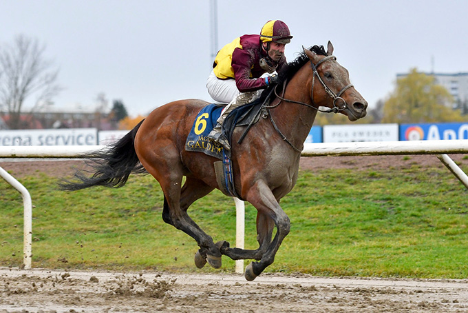 Lone Kaj-Nielsens Cabanac (GB) sejrer for anden gang i 2019 på Jägersro. Foto Stefan Olsson, Svenskt Galopp