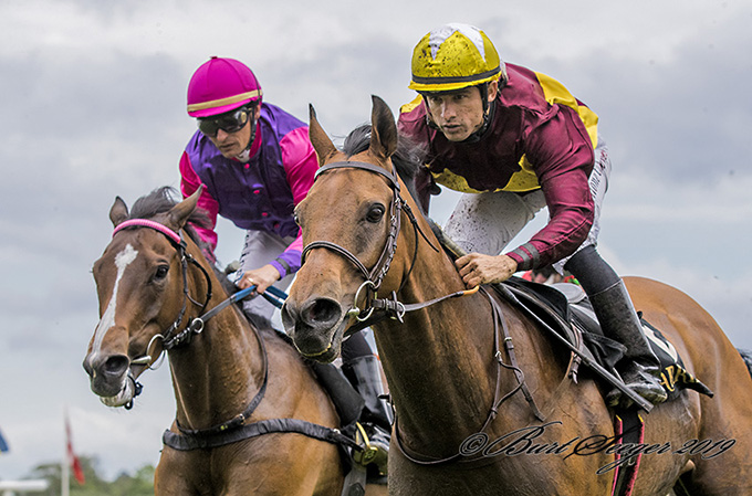 Jubilance (IRE) sejrer i et klasse 1 handicapløb på Klampenborg, lørdag den 8. juni. Foto Burt Seeger