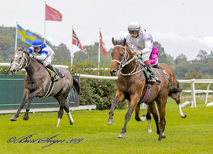 Laban med jockey Carlos Lopez på ryggen sejrede med godt én længde i 2-Års MaidenSerien foran otte gode konkurrenter. Foto Burt Seeger