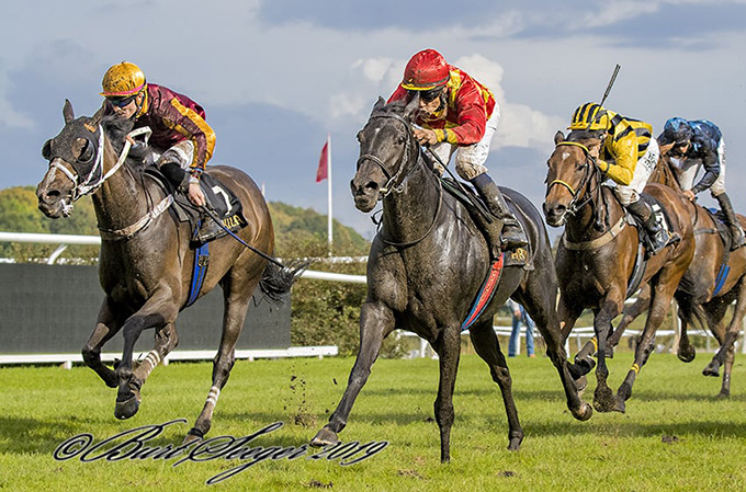 Meringue (IRE) og jockey Carlos Lopez på vej
	mod sejr i Fabella Løb, 28. sep., Klampenborg. Foto Burt Seeger