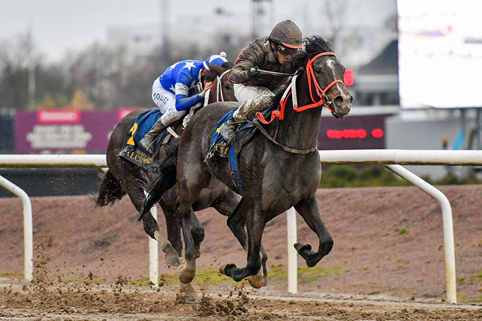 Miintaka (IRE) på vej mod sin anden sejr i år på Jägersro, redet af jockey Carlos Lopez. Foto Stefan Olsson, Svenskt Galopp