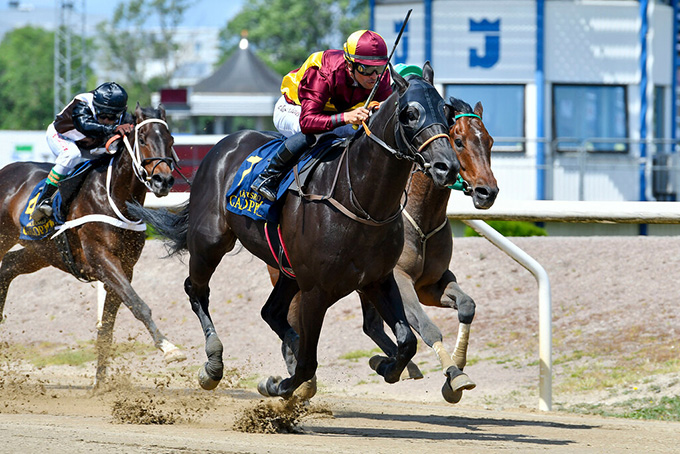No Comment med jockey Elione Chaves sejrer på Jägersro for anden gang i et sprintløb indenfor kort tid. Foto Stefan Olsson, Svenskt galopp