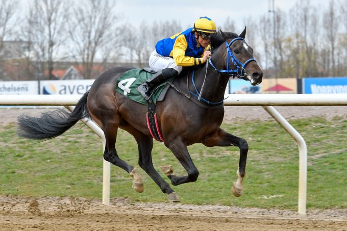 3-årige Primacor med jockey Elione Chaves sejrer i et maidenløb på Jägersro, onsdag den 10. april 2019. Fotograf Stefan Olsson, Svensk Galopp