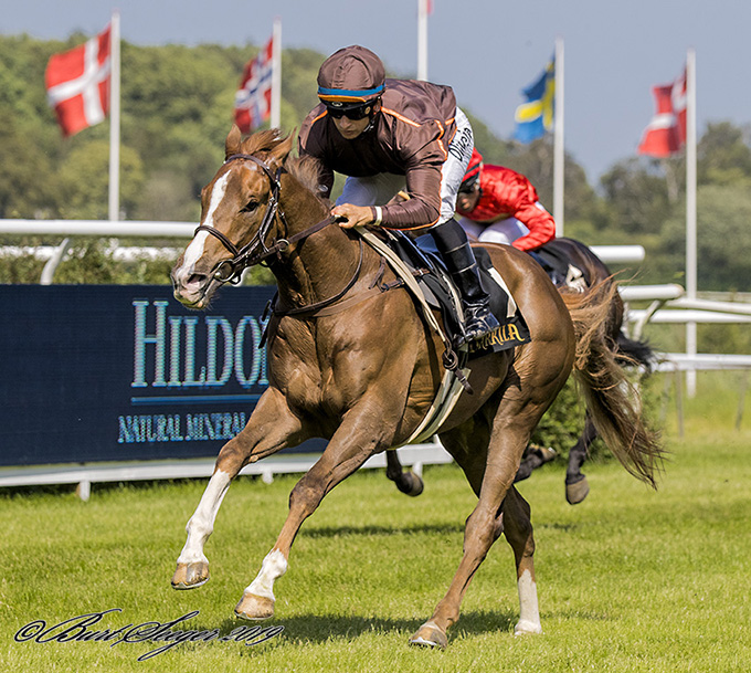 Prince Charming (SWE), ejet af Kjeldsbjerggaard ApS og redet af Rafael De Oliveira, lever op til favoritværdigheden
	som vinder af 3-Årsløb, Klampenborg, søndag den 30. juni 2019. Foto Burt Seeger