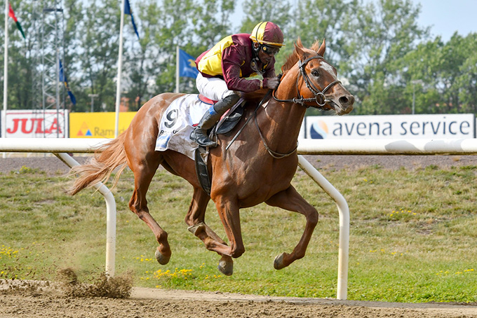 Red Cactus med jockey Eduardo Pedroza på vej mod sejr i Svenskt Derby 2019. Foto Stefan Olssen, Svenskt Galopp