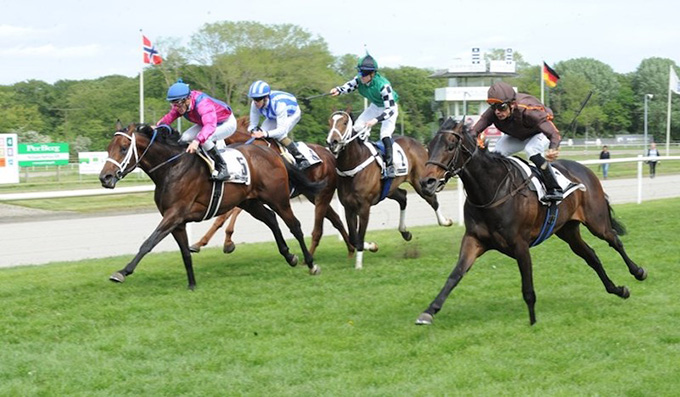 Sankt Peder (ger) med jockey Elione Chaves
	på vej mod sin hidtil største sejr som vinder af Jydsk Derby 2019, 25. maj. Foto Ole Hindby