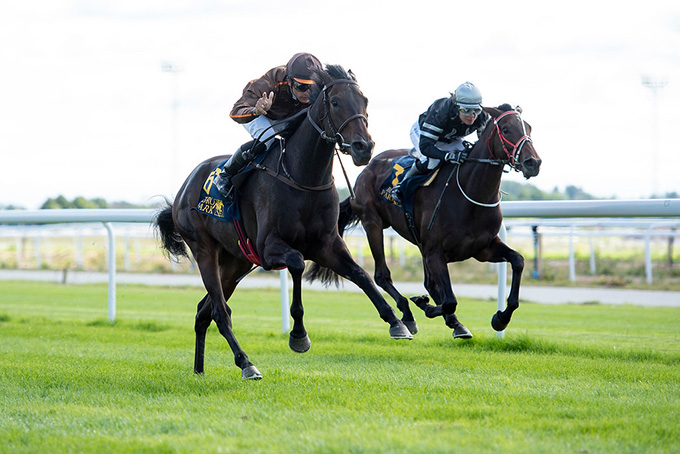Storløbssejr til Kjeldsbjerggaard ApS med Sankt Peder (ger) på Bro Park 4. sep. 2019, redet af jockey Elione Chaves. Foto Elina Björklund, Svensks Galopp