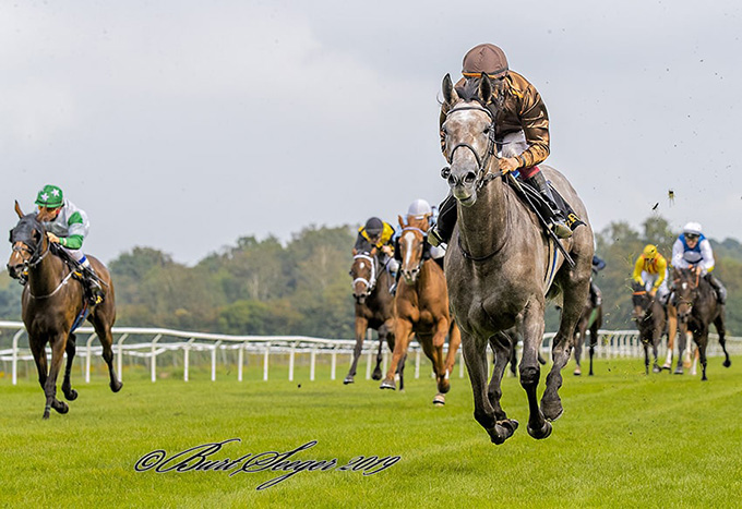 Kjeldsbjergaard ApS' danskopdrættede Silverstone på vej mod en overlegen sejr i Dansk Oaks 2019, redet af jockey Carlos Lopez. Foto Burt Seeger