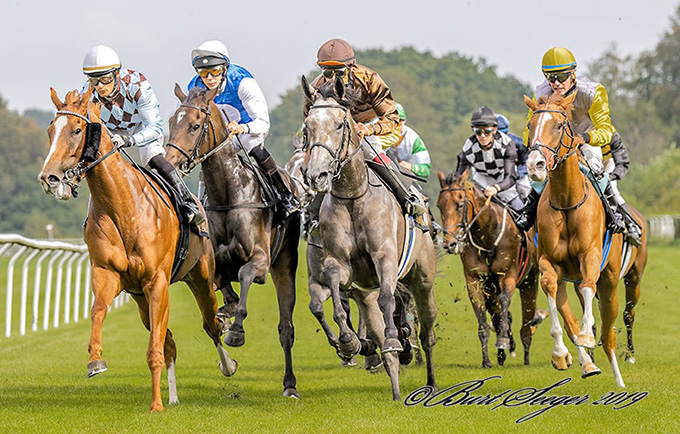 Oaksvinderen Silverstone (den grå) med jockey Carlos Lopez på vej rundt tribunesvinget i Dansk Oaks 2019, 1. sep. Klampenborg Galopbane. Foto Burt Seeger