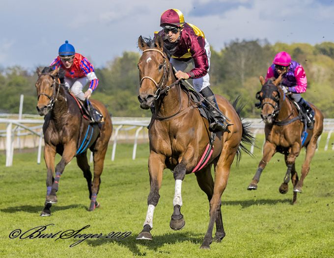 Talisman (FR) med jockey Elione Chaves på vej mod sin tredje sejr, Klampenborg 4. maj 2019. Foto Burt Seeger