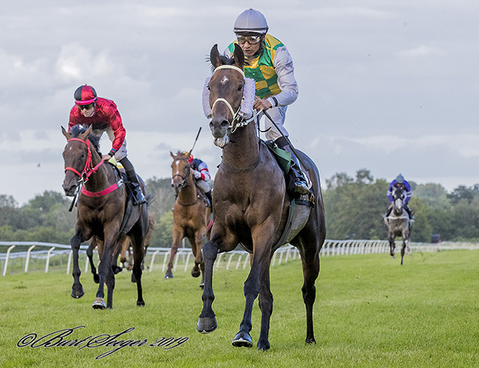 3-årige The Winther Storm, ejet og opdrættet af Irina Skjødt, på vej mod sin første sejr, Klampenborg 6. juli 2019. Foto Burt Seeger