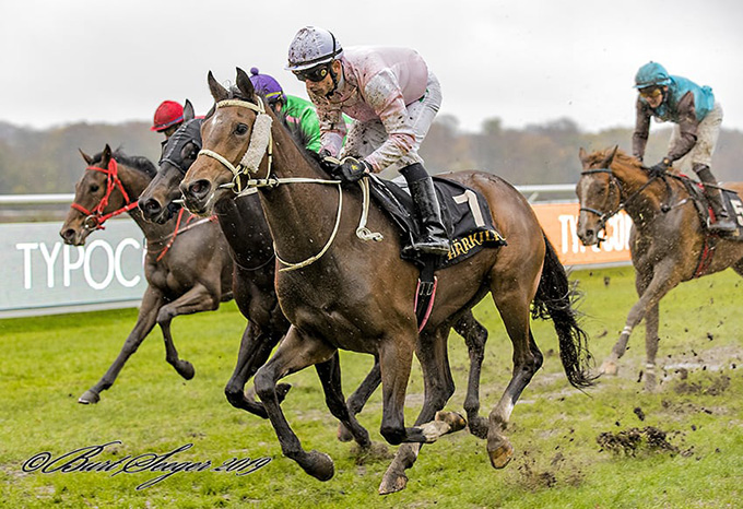 2-årige Wonder Why, ejet af Beatrice Marsing, sejrer i et maidenløb efter andet forsøg, 2. nov., 2019, redet af jockey Elione Chaves. Foto Burt Seeger