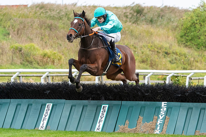 French Warrior (FR) og jockey Christopher Roberts hopper over sidste hæk, Göteborg Galoppbane, lørdag den 3.okt., 2020. Foto Stefan Olsson, Svensk Galopp