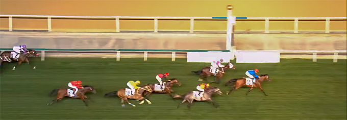 Grey Flash (USA) med jockey Carlos Lopez ses her som tredje i Meydan Trophy på Meydan Racecourse, torsdag den 13. feb., 2020. foto printscreen