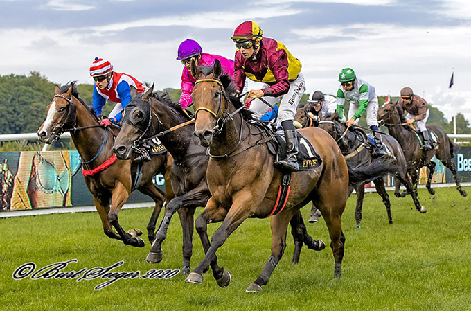 Never Gone (IRE), ejet af Lone Kaj-Nielsen og redet af Elione Chaves, forsvarede favoritværdigheden i Novis løb over 1400 meter på Klampenborg Galopbane, lørdag den 25. juli. Foto Burt Seeger