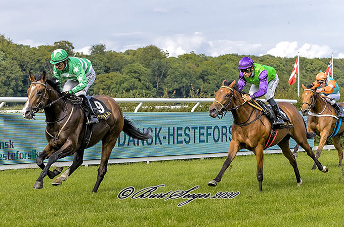 Stald KTAS kunne glæde sig over 2-årige Noelle's andenplads i Produce Stakes, redet af Elione Chaves. Foto Burt Seeger