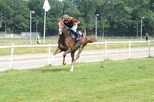 Prince Charming (SWE) med jockey Rafael De Oliveira på vej mod sejr på Jydsk Væddeløbsbane, 1. aug. 2020. Foto Ole Hindby