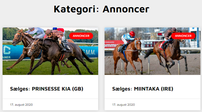 Miintaka (IRE) og Prinsesse Kia (GB) på salgslisten 17. august 2020