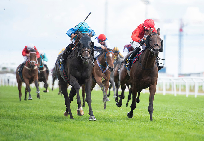 Ole Torkdahls Maestro (DEN) med jockey Elione Chaves på vej mod sejr i Bro Park Classic 30. aug. 2020. Foto Elina Björklund, svensk galopp