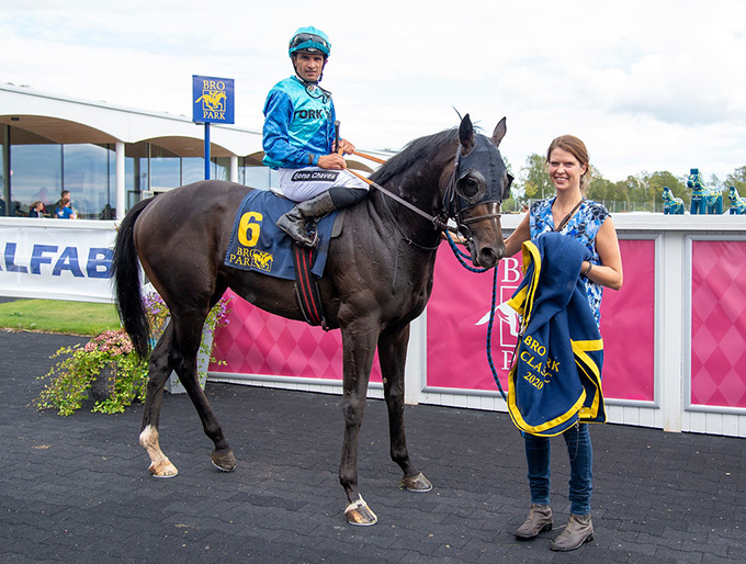 The Maestro (DEN) med jockey Elione Chaves i vindercirklen. Susanne
Springer står med sejrsdækkenet fra Bro Park Classic. Foto Elina Björklund, Svensk Galopp