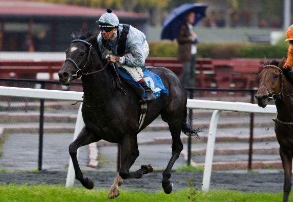 Dan Tucket (GB) på vej til en let sejr i Norsk St Leger 2008 Foto: Øvrevoll Galoppbane