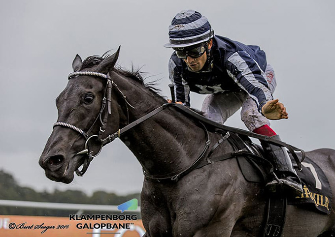Elektra Art (IRE) med jockey Elione Chaves sejrer i Oaks - Hoppernes Derby, 2016. Foto Burg Seeger