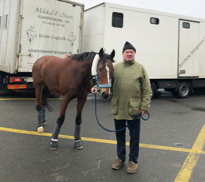 Træner Olsen med Learn By Heart (GB) i lufthavnen  kort før afgang mod Dubai, lørdag den 18. dec. 2021. Foto Anna Linda Nilsson, OlsensHestetransport.dk