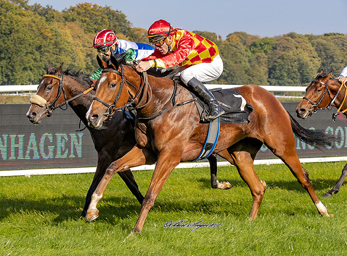 2-årige Liberian Girl (DEN) med jockey Oliver Wilson på vej mod maidensejr, Klampenborg, lørdag den 9. okt. 2021. Foto Burt Seeger